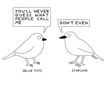  bird names