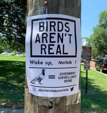 BirdsAreFake