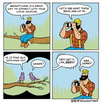 Birdwatching