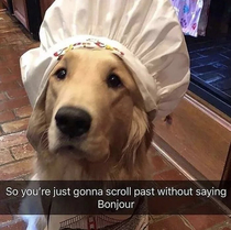 Bonjur