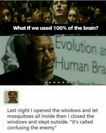  brain usage
