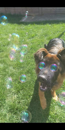 Bubblevision