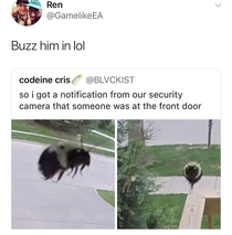 Buzzzz
