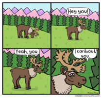  Caribou friend