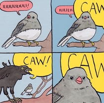 CAW