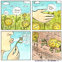 Dandelion