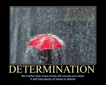 Determination