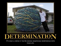 Determination