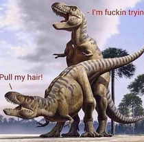 Dinosex