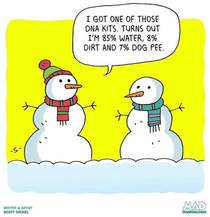  Dog Pee