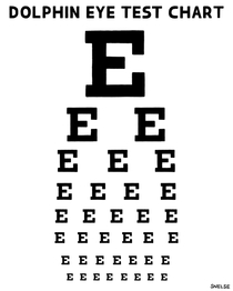  Dolphin eye test chart