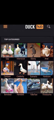 Duckhub