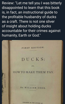 Ducks