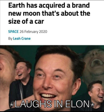 Elon