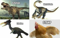 Evolution