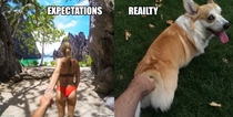ExpectationsReality