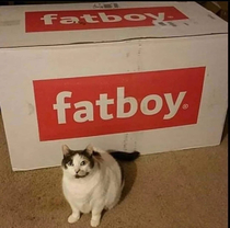 Fatboy