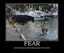 Fear