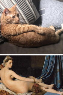 Ferdalisque