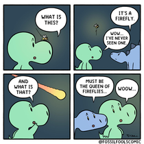 Fireflies