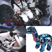  First human in space  First dinosaur in space