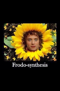 Frodo