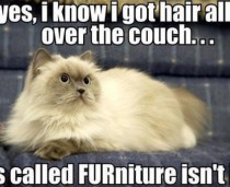 FURniture