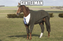 gentleman