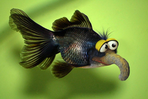 Gonzofish