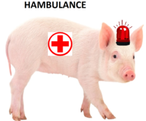 hambulance