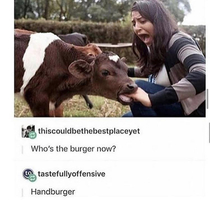 hAnDbUrGeR