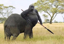 Harambelephant