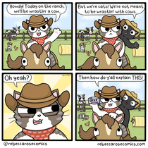  How now meow cow