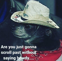 Howdy