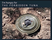 Hunger