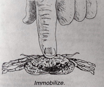 Immobilize