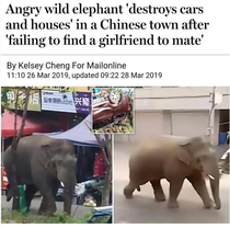 Incelephant