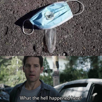  Ingenuity