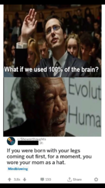  IQ