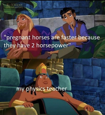  iq