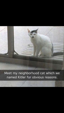 Kitler