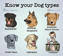  know your types of dog
