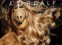 Lorealf