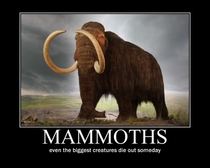 Mammoths