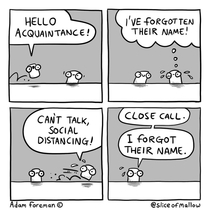  Marshmallow Social Distance Acquaintance