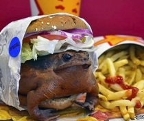 McRibbet