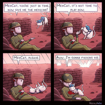 MedCat