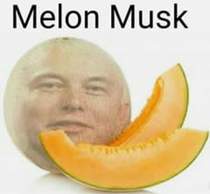 melon