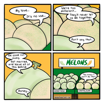 Meloncholy