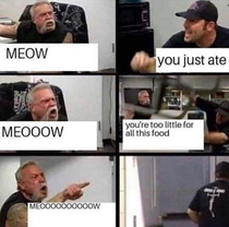 MEOOOOOW